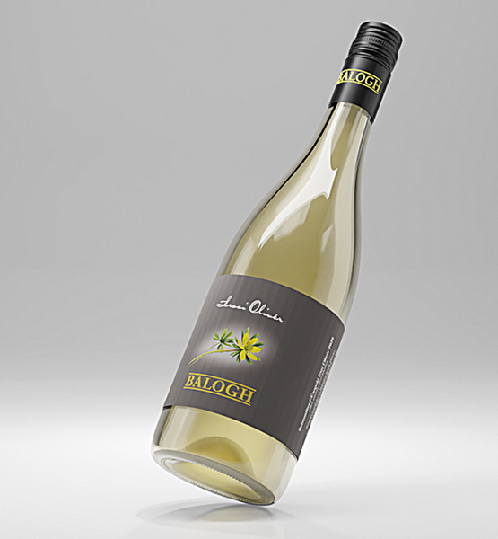 Irsai Olivér - 2025