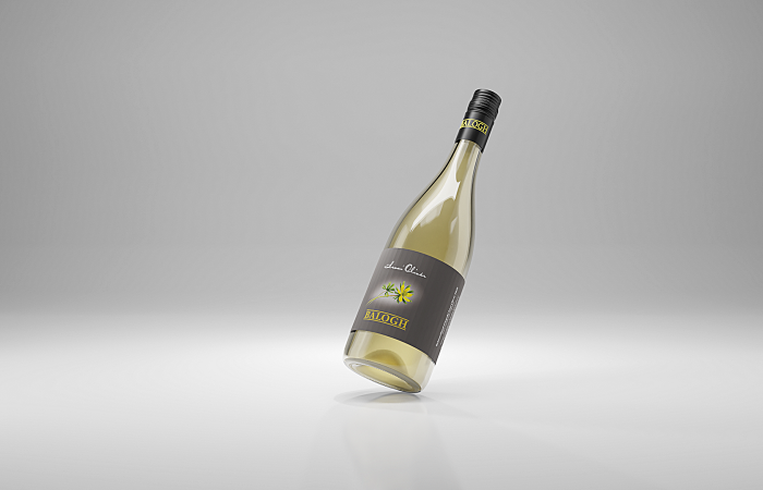 Irsai Olivér - 2025